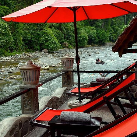 Ecotravel Cottages Bukit Lawang Exterior foto