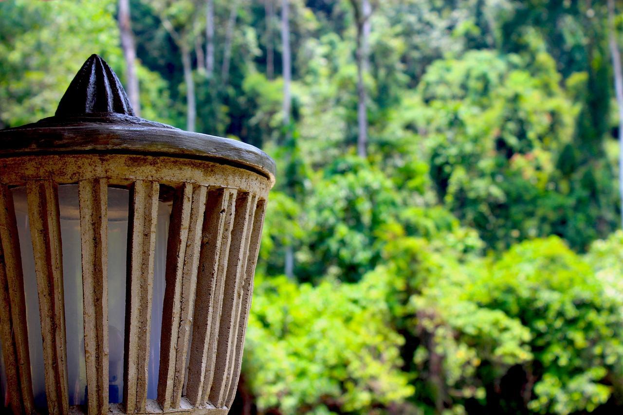 Ecotravel Cottages Bukit Lawang Exterior foto
