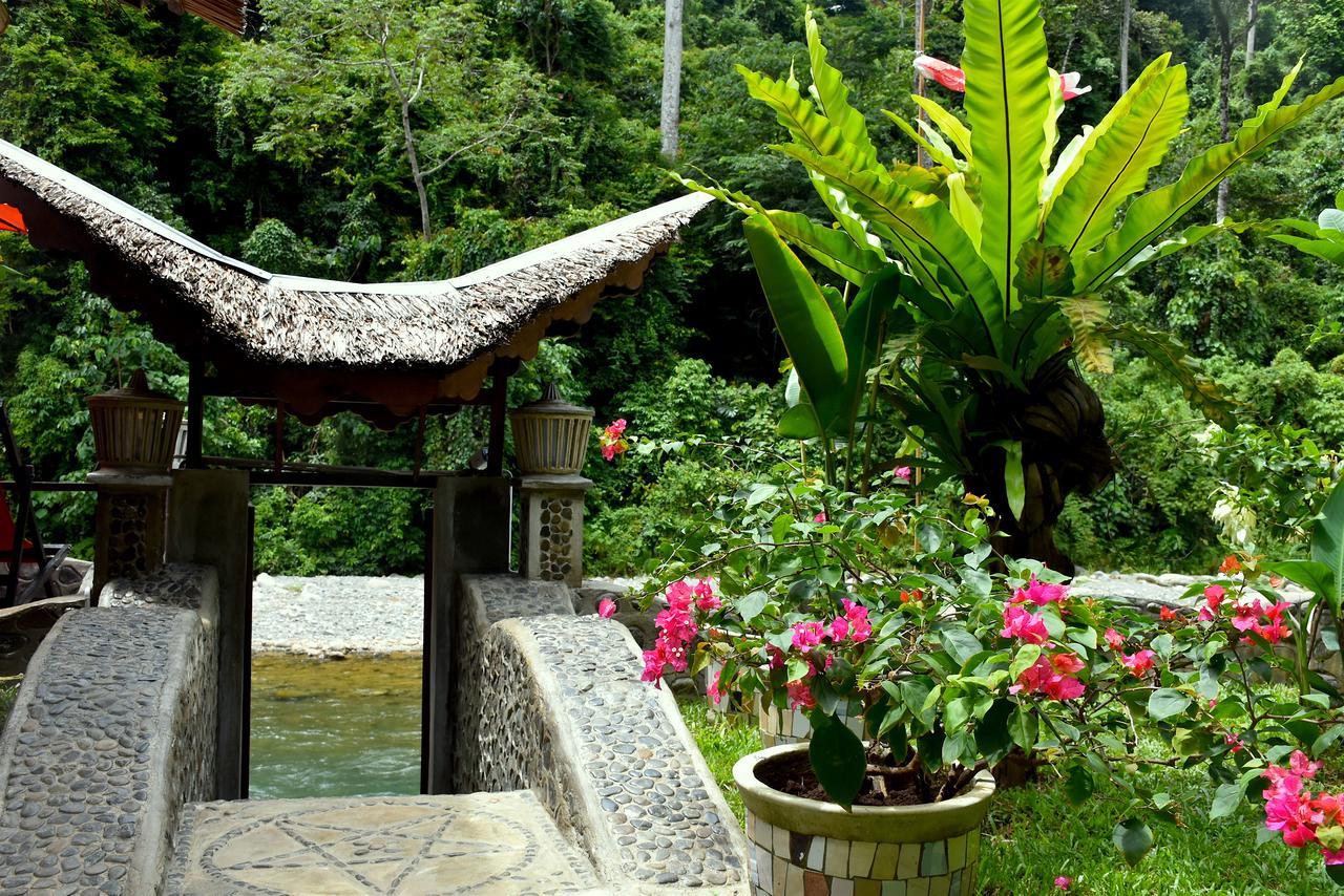 Ecotravel Cottages Bukit Lawang Exterior foto