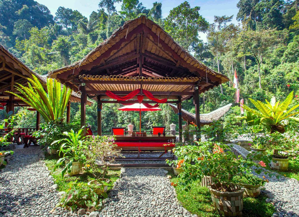 Ecotravel Cottages Bukit Lawang Exterior foto
